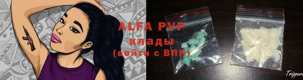 ПСИЛОЦИБИНОВЫЕ ГРИБЫ Алзамай