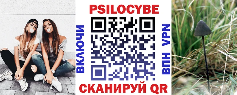 Псилоцибиновые грибы GOLDEN TEACHER  kraken ТОР  Кольчугино  цена наркотик 