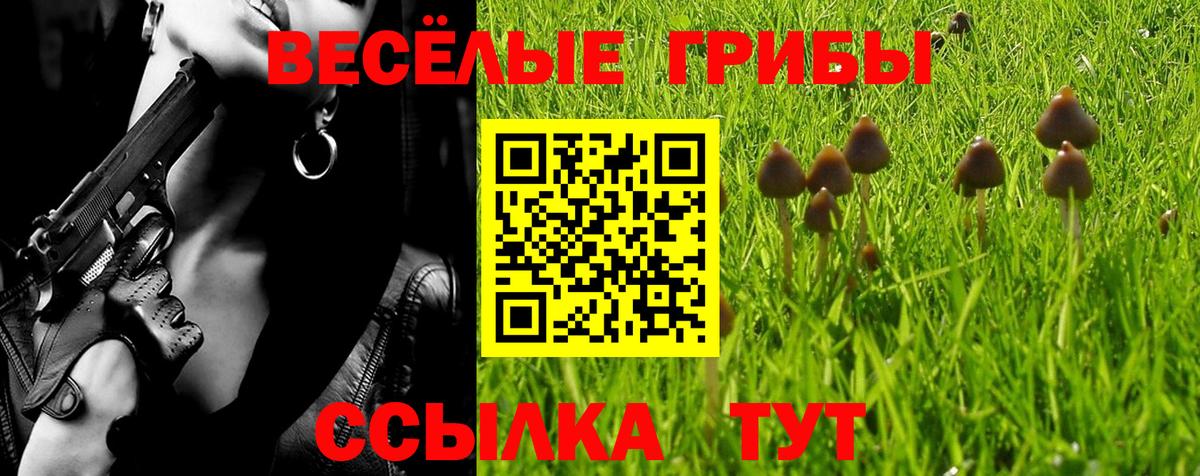 Псилоцибиновые грибы мухоморы  Вход с VPN  Кольчугино 